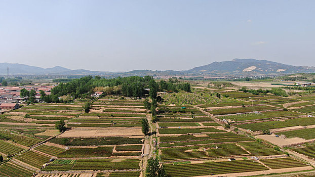 排污泵
