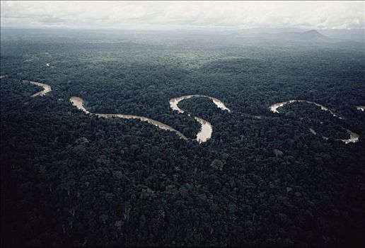 航拍,弯曲,河,亚马逊河,树林,生态系统,巴西