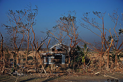 损坏,家,击打,气旋,区域,孟加拉,夜晚,十一月,2007年,巨大,房产