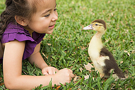 女孩,草地,看,年轻,小鸭子