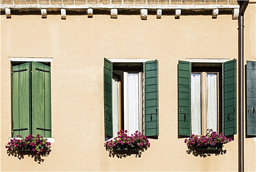 威尼斯,窗户,花