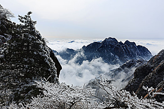 雪后黄山云海