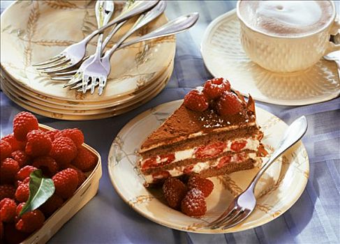 块,提拉米苏蛋糕,树莓,盘子