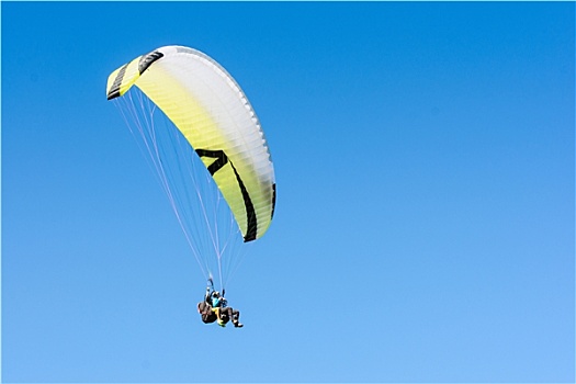 滑伞运动,运动,飞行,翱翔,翼,清晰,蓝天