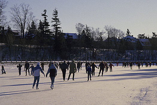 加拿大,安大略省,渥太华,人,滑冰,里多运河