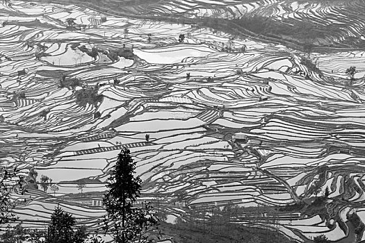 哀牢山哈尼梯田风光