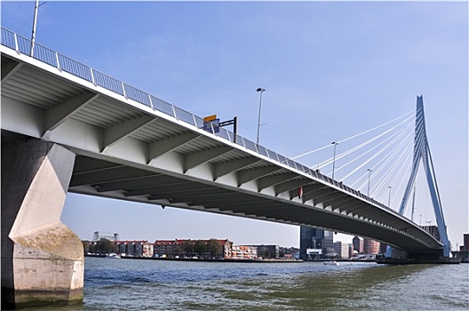 桥,鹿特丹,荷兰