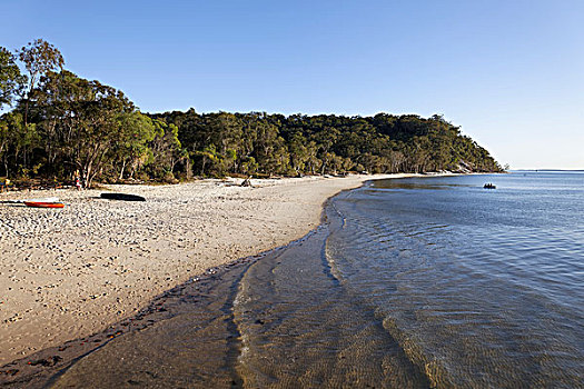 沙滩,世界遗产,弗雷泽岛,沙,国家公园,昆士兰,澳大利亚,大洋洲