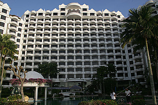 酒店,椰子树