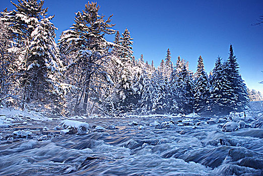 早,冬天,展示,河,阿尔冈金公园,安大略省,加拿大
