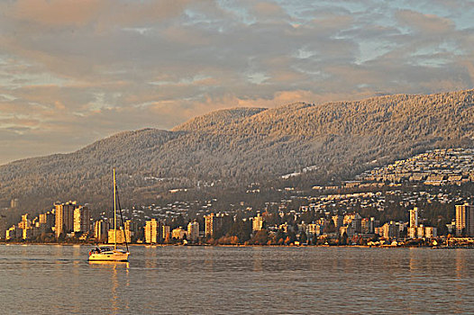 帆船,英吉利湾,看,西部,温哥华,不列颠哥伦比亚省,加拿大