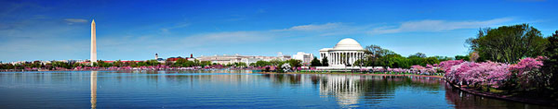 华盛顿特区,全景,华盛顿纪念碑,杰斐逊,纪念,樱花