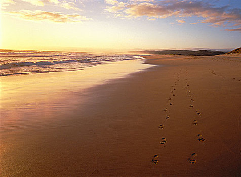 脚印,海滩,日落,西海角,南非