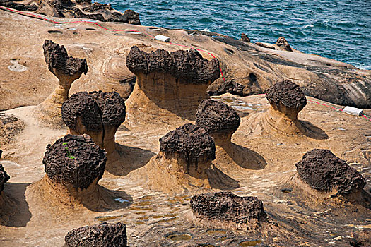 台湾新北市万里区,野柳地质公园,的蕈状岩,姜石奇特景观岩礁区