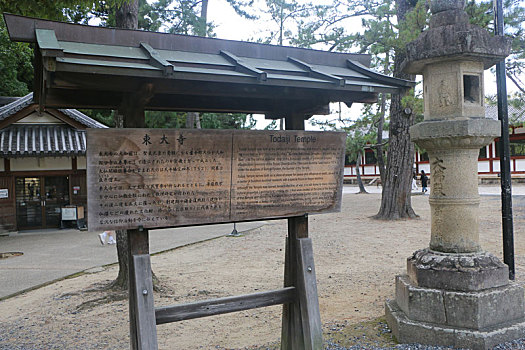 日本,东大寺