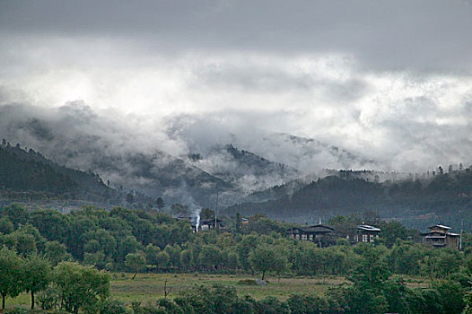 不丹,风景,树林,山