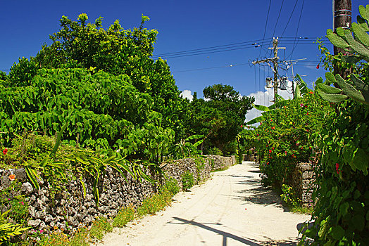 岛屿,冲绳,日本