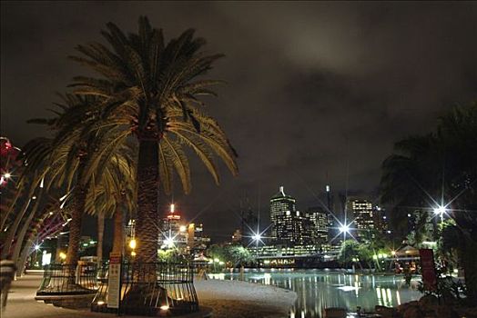 公园,布里斯班,夜晚,昆士兰,澳大利亚