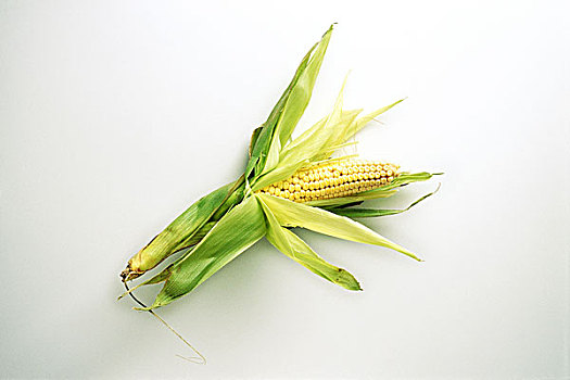 玉米棒,白色背景