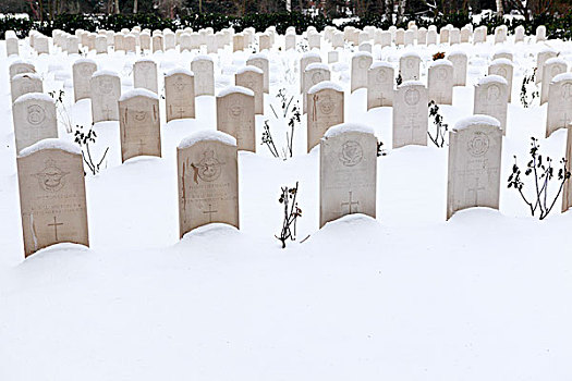 墓地,冬天