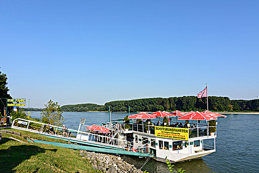 多瑙河,漂浮,餐馆,自行车,渡轮,码头,下奥地利州,奥地利