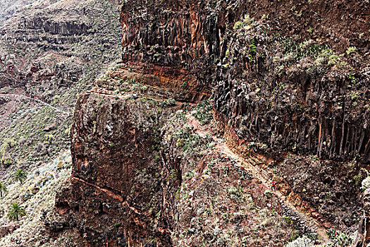 徒步旅行,岩石墙,靠近,加纳利群岛,西班牙,欧洲