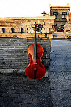 大提琴,古墙
