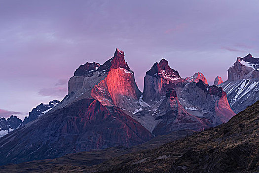 早晨,托雷德裴恩国家公园,巴塔哥尼亚,智利,南美