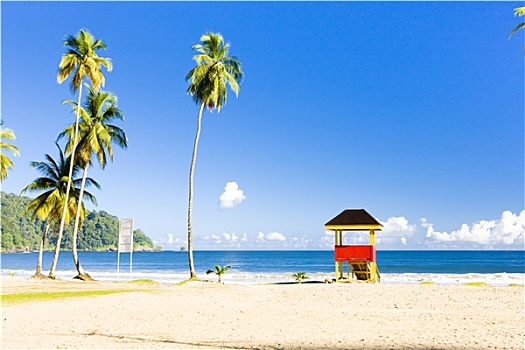 小屋,海滩,沙球,湾,特立尼达