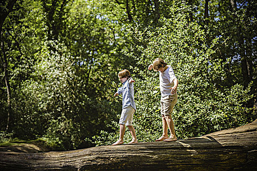 两个男孩,露营,新森林地区,走,原木,高处,水,平衡性,伸展胳膊