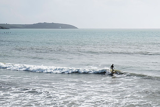 冲浪,穿,紧身潜水衣,骑,海浪,挨着,岸边