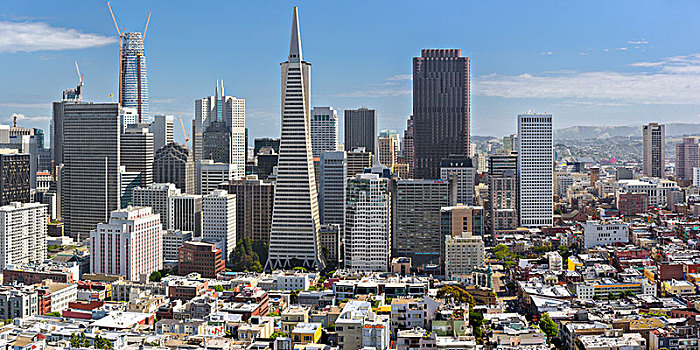 旧金山,从科伊特塔,coit,tower,俯瞰旧金山