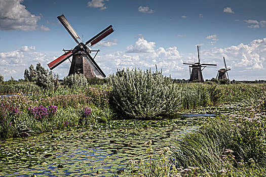 风车,运河,湿地,小孩堤防风车村,荷兰