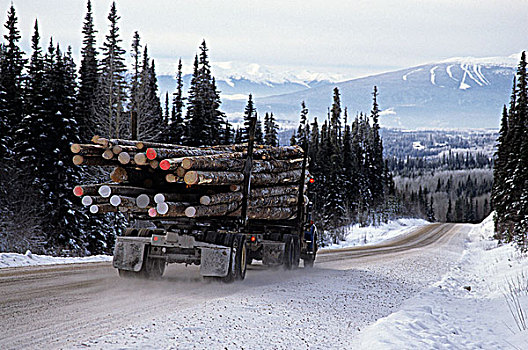 伐木,卡车,道路,工厂,山谷,不列颠哥伦比亚省,加拿大