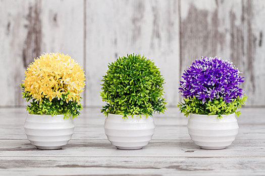 人造,黄色,紫色,绿色,植物,花盆