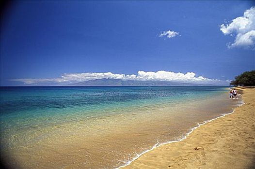夏威夷,毛伊岛,海滩,夫妻,背景