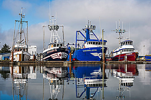 渔船,停泊,码头,俄勒冈,美国