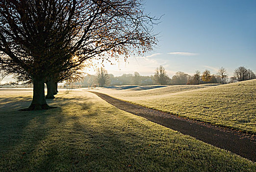 高尔夫球场,遮盖,霜,基尔肯尼,爱尔兰