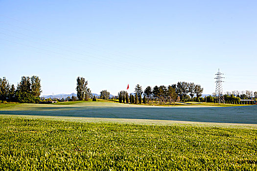 绿色的高尔夫球场