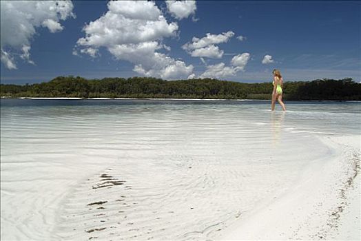 女人,白色背景,沙滩,弗雷泽岛,昆士兰,澳大利亚