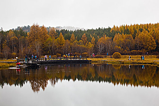 承德木兰围场塞罕坝秋景