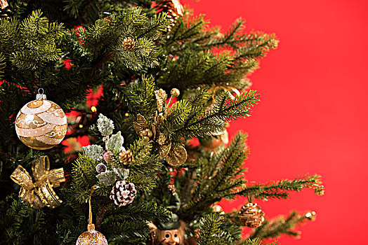 装饰,圣诞树,红色背景
