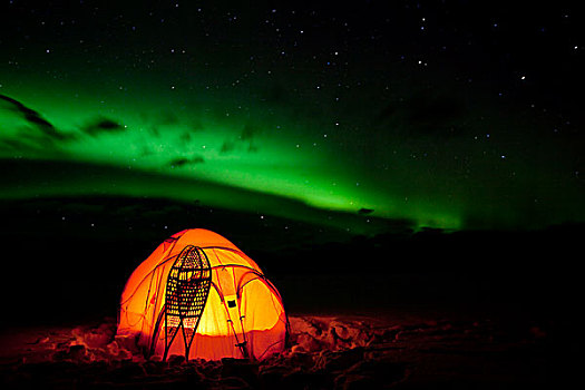 光亮,探险,帐蓬,传统,木质,雪地鞋,北方,极光,北极光,绿色,靠近,育空地区,加拿大