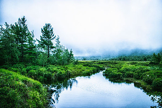 水系,阿卡迪亚国家公园,缅因,低云,雾气
