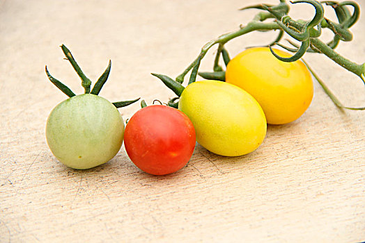 多彩小西红柿