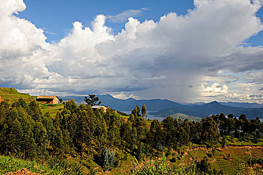 卢旺达,区域,农业,土地,山