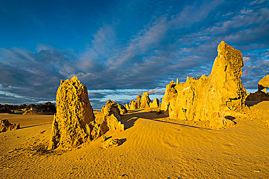 尖峰石阵,石灰石,南邦国家公园,西澳大利亚州