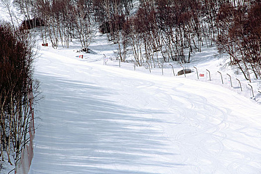 雪场白色的滑雪雪道