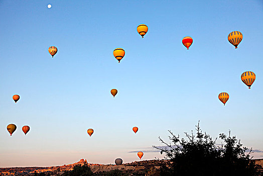 土耳其,中安那托利亚,卡帕多西亚,省,热气球