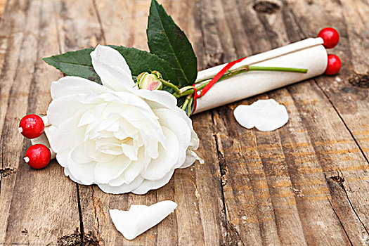 邀请,生日,白色蔷薇,木质背景